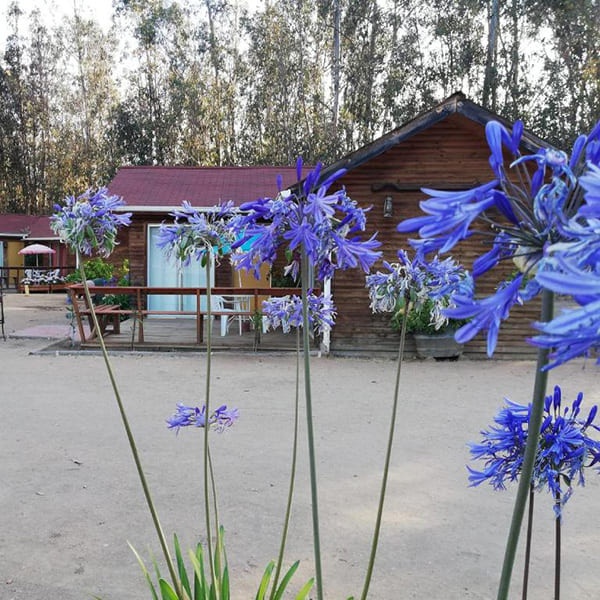 Cabaña 75 m2 - Imagen 6