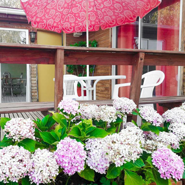 Cabaña 75 m2 - Imagen 8